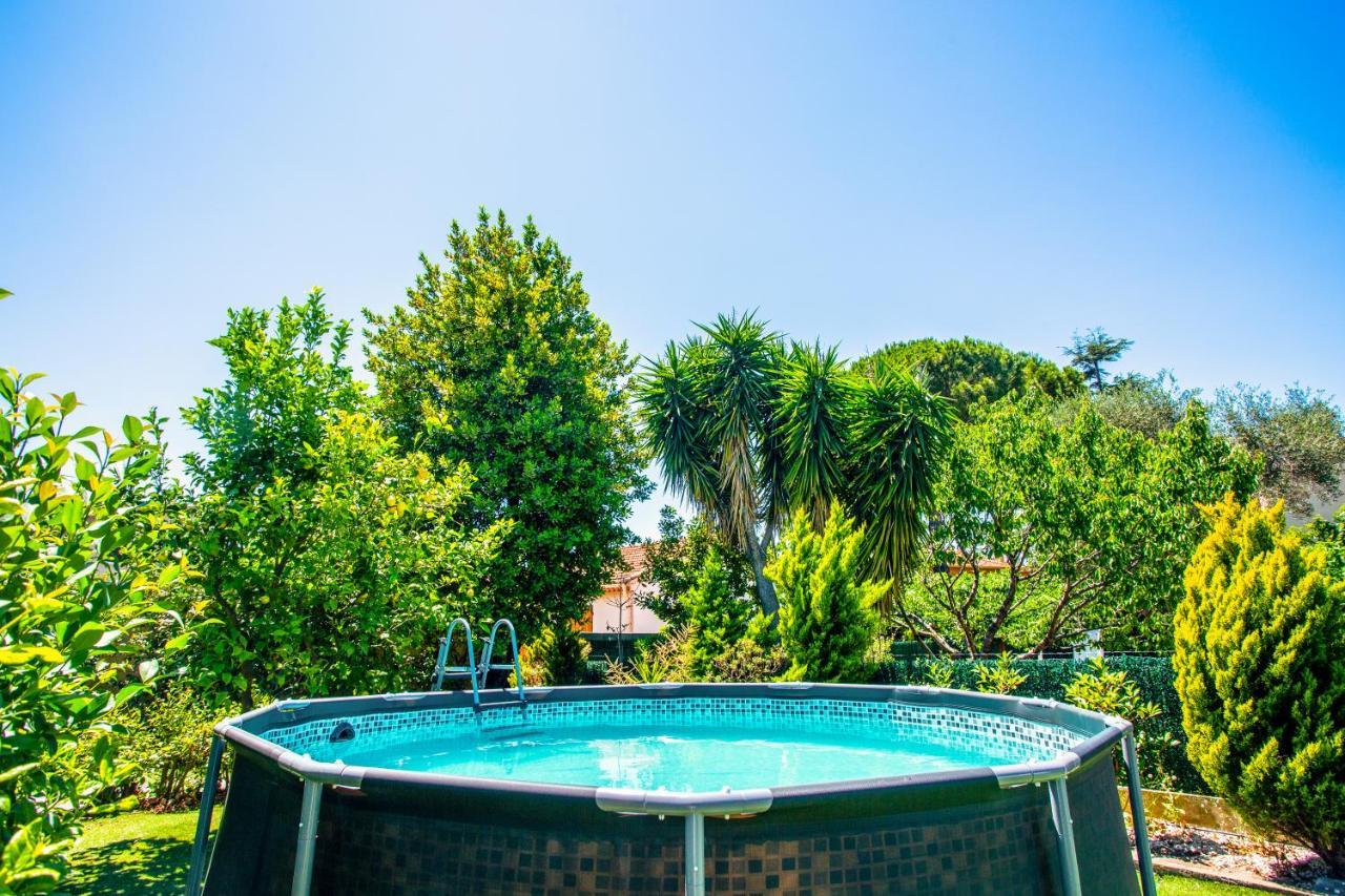 Villa Provence-Spa&Bbq Centre Au Calme- Jardin - Terrasses La Valette-du-Var Dış mekan fotoğraf